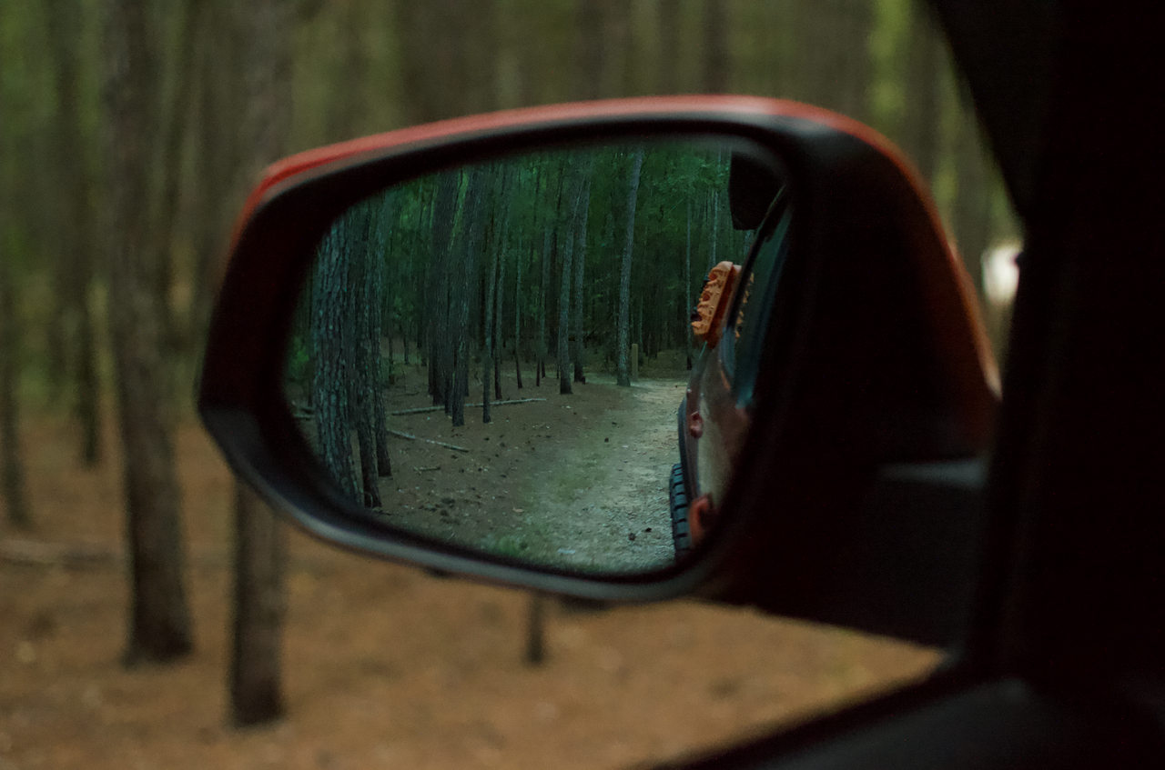 Taco Clout Wide Angle Convex Performance Mirrors for Tacoma (2016-2023) & 4Runner (2014-2025)