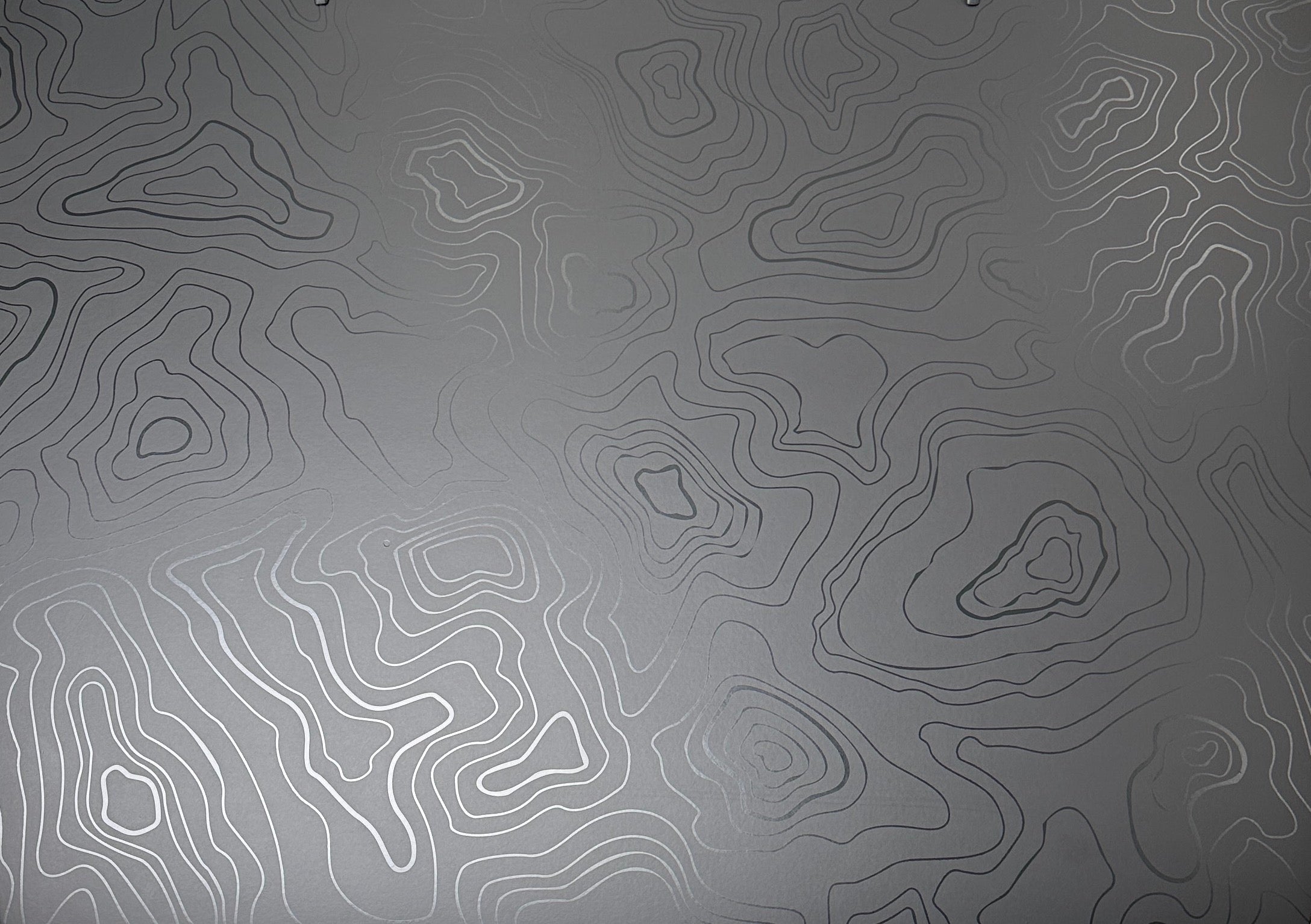 Roof Shield