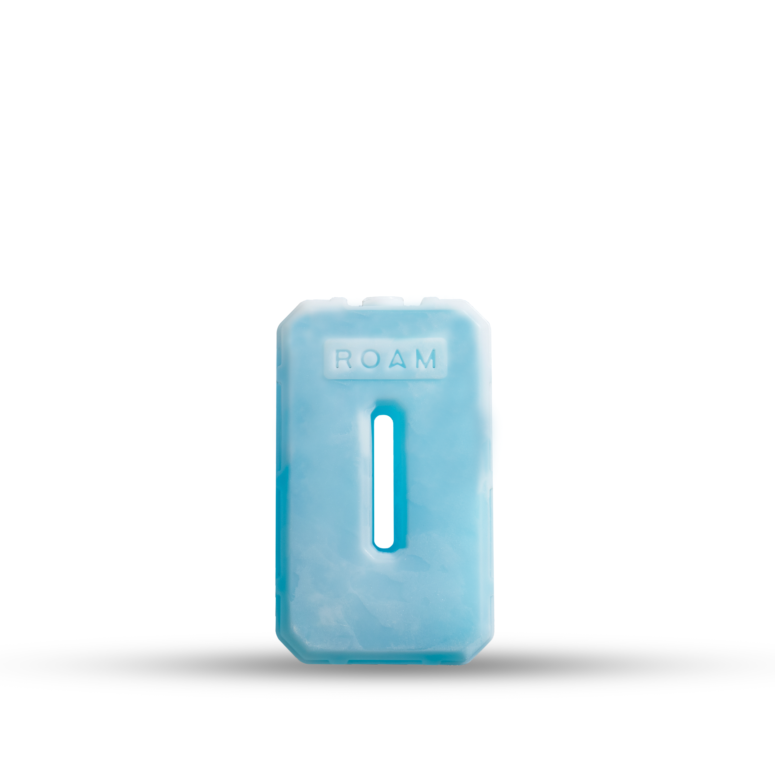 ROAM Roam 1lb Ice Pack