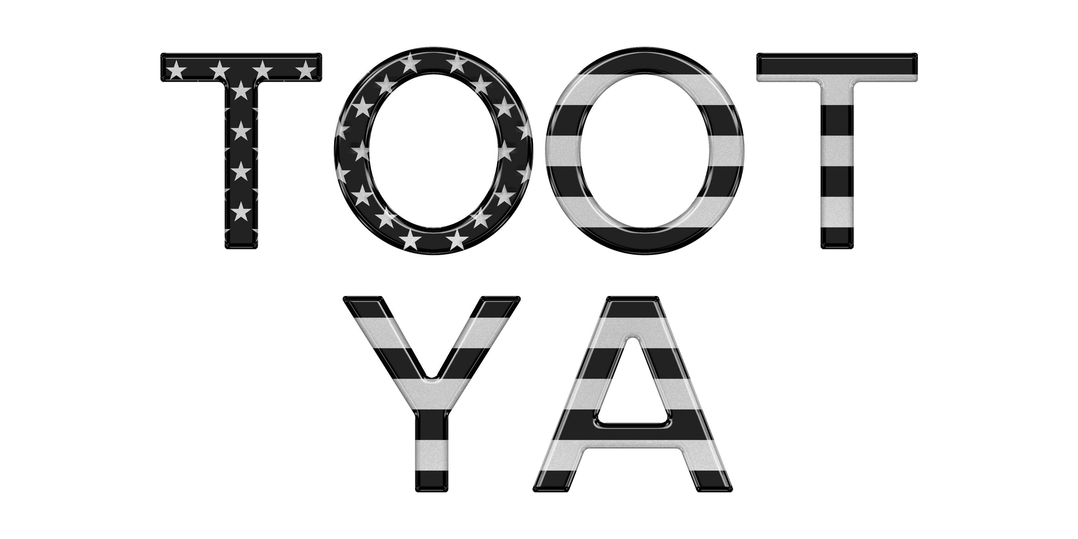 Grille Letter Overlays Fits 2016-2025 Toyota Tacoma